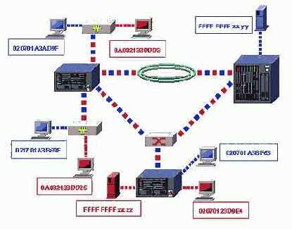 (multicast) VLAN